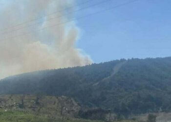 Çanakkale Eceabat'ta orman yangını; Çok sayıda ekip sevk edildi