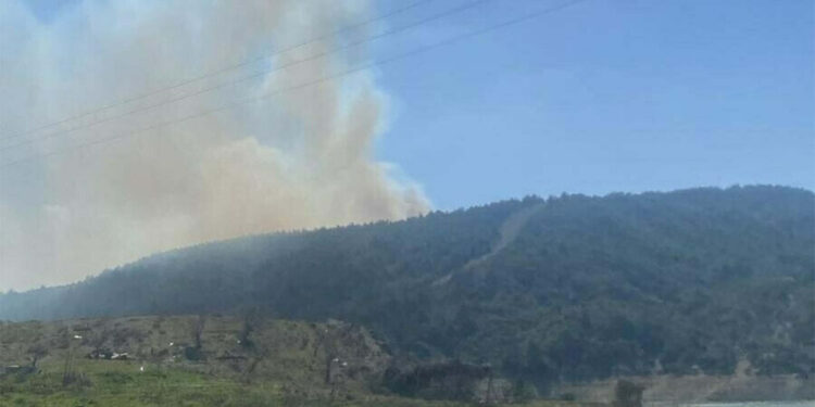 Çanakkale Eceabat'ta orman yangını; Çok sayıda ekip sevk edildi