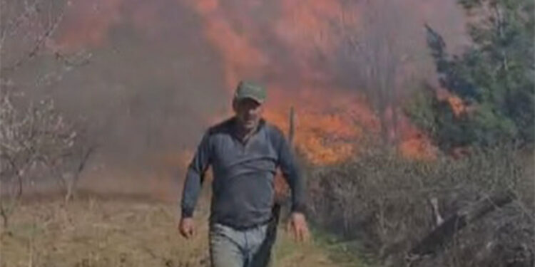 Bayramiç'te tarım arazisinde çıkan yangın söndürüldü