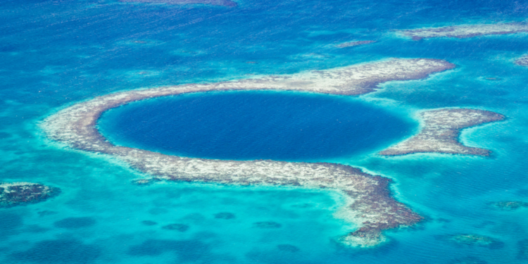 Çinli bilim insanları, yeni bir robot geliştirdi