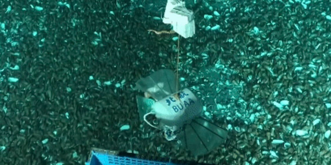 Çinli bilim insanları, yeni bir robot geliştirdi