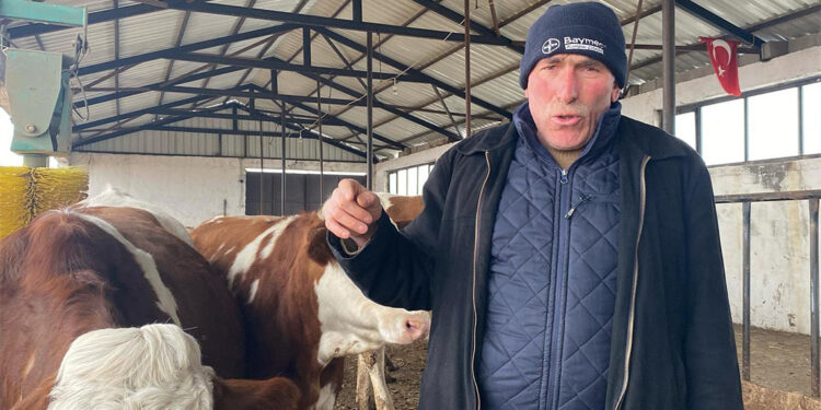 Dondurucu soğukta yarı açık ahırda hayvancılık yapıyor