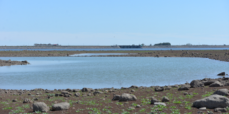 Devegeçidi Baraj Gölü'nde hastalık ve parazit uyarısı
