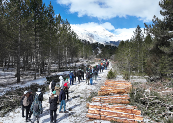 Doktorlar, glokoma karşı farkındalık için 7 kilometre yürüdü