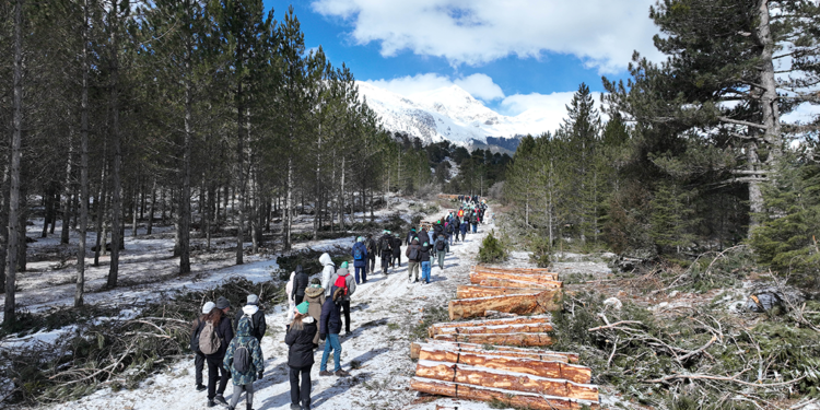 Doktorlar, glokoma karşı farkındalık için 7 kilometre yürüdü