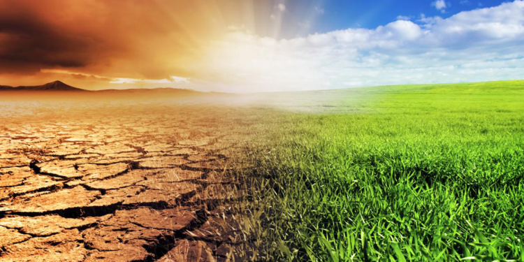 Dünyada her 5 kişiden 1'i iklim değişikliğinin etkilerini hissediyor