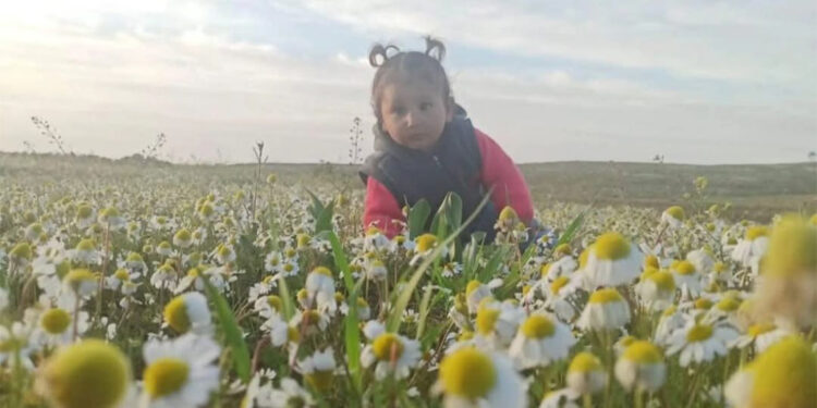 Sokakta aracın çarptığı 2 yaşındaki Zeynep hayatını kaybetti