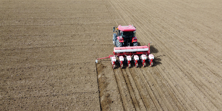 Edirne'de ayçiçeği üreticisi, ekimine erken başladı