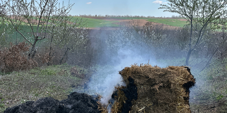 Edirne'de üreticiler, ağaçlarını 'dumanlama' yöntemi ile koruyor