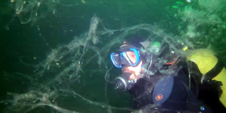 Ekolojik felaket: Müsilaj, Marmara Denizi'ni istila etti