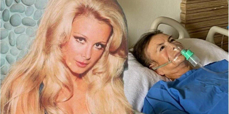 Filiz Akın hayatını kaybetti