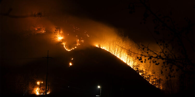Güney Kore'deki orman yangınları kontrol altına alındı