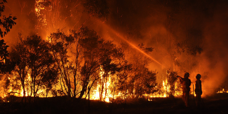 Güney Kore'deki orman yangınlarında can kaybı 18'e yükseldi