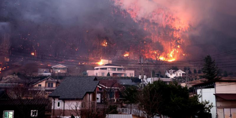 Güney Kore'deki yangınlarda can kaybı sayısı 26'ya yükseldi