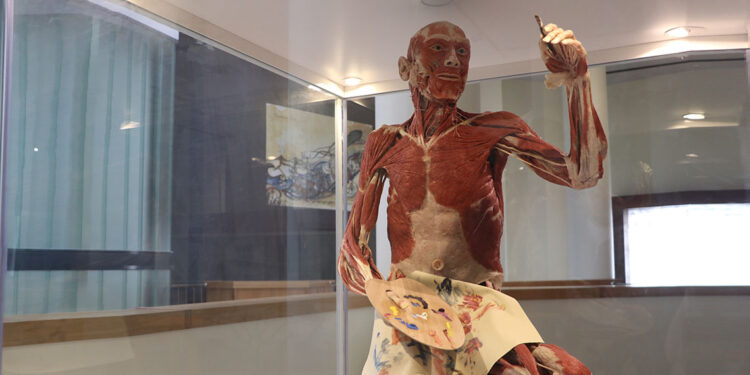 Biyoloji müzesinde 20 milyon yıllık fosil örnekleri var