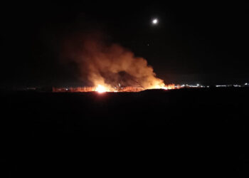 Hatay'da sazlık yangını