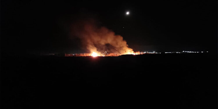 Hatay'da sazlık yangını