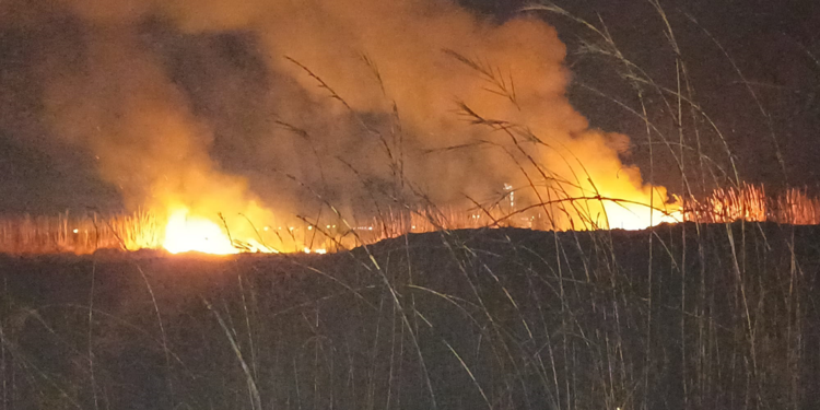 Hatay'da sazlık yangını söndürüldü