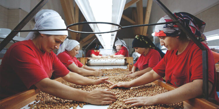 IPARD 3 Programı 2025 Yılı Çağrı Takvimi yayımlandı