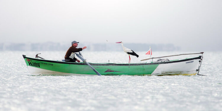 'Yaren Leylek' fotoğrafı birincilik ödülüne layık görüldü