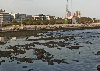 İskenderun'da fırtınanın ardından deniz suyu çekildi