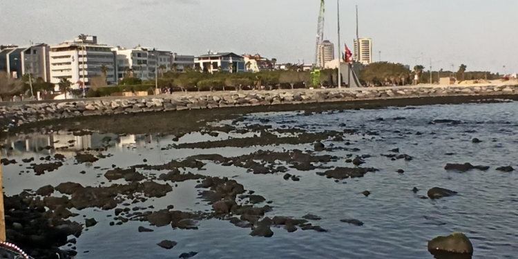 İskenderun'da fırtınanın ardından deniz suyu çekildi