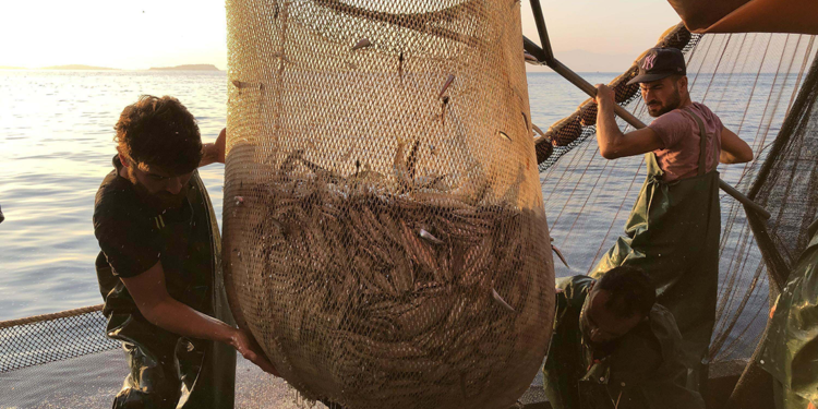 İzmir'de av sezonu iklim değişikliğinden etkilendi