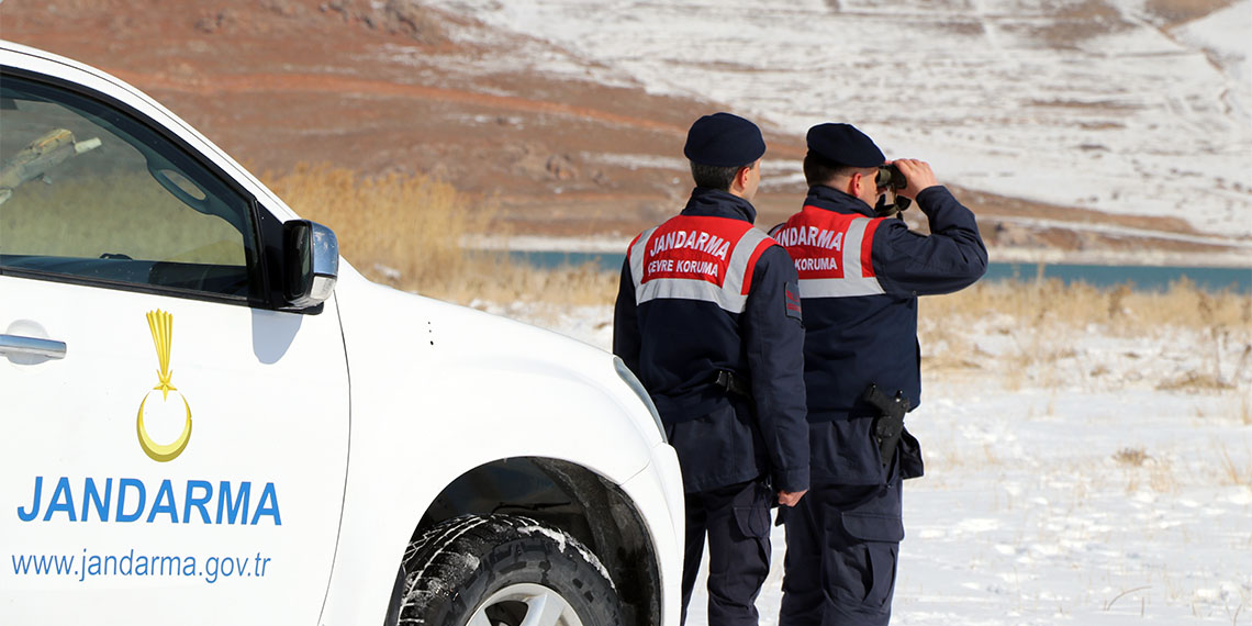 Van Gölü Havzası’ndaki sulak alanlara her yıl İran'ın Urmiye Gölü'nden gelen flamingolar Afrika ülkelerine göç etmeyip bölgede kalınca, İl Jandarma Komutanlığı ek koruma tedbirleri aldı. Ekipler, bölgede 7/24 denetim yapıyor.