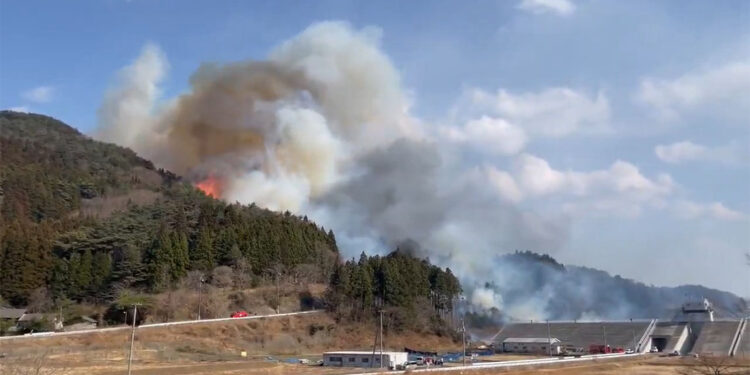 Japonya'da 5 günde 1800 hektarlık alan yandı