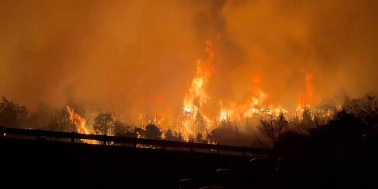 Japonya'daki orman yangınlarına müdahale sürüyor