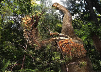 İki parmaklı yeni dinozor türü keşfedildi