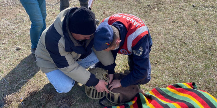 Kars'ta kaçak avcılara operasyon