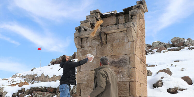 Kayseri'de tarihi güvercinliklerde yemleme kültürü yaşatılıyor
