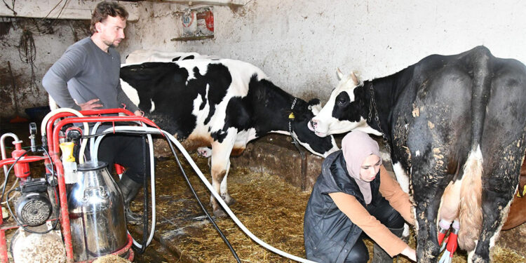 2 çocuk annesi Gülizar devlet desteğiyle çiftlik kurdu