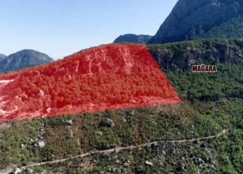 Kalker ocağı hakkında kaçak ağaç kesimi şikayeti