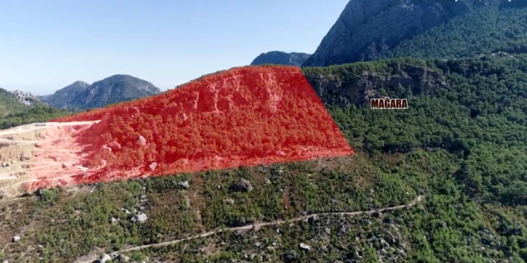 Kalker ocağı hakkında kaçak ağaç kesimi şikayeti