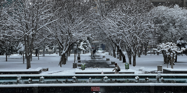 Kayseri'de kar yağışı etkili oldu