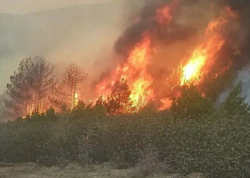 Kütahya'da ormanda yangın