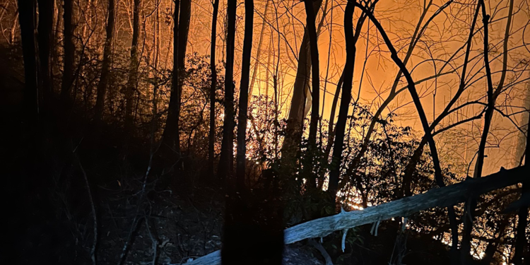 Kuzey Carolina'daki yangınlar nedeniyle tahliye emri çıktı