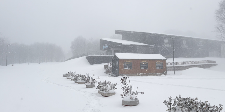 Kuzuyayla Tabiat Parkı beyaza büründü