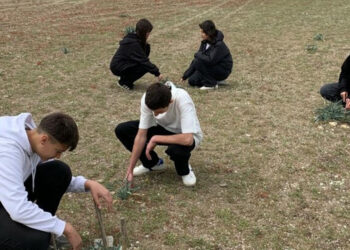 Öğrenciler, kum zambaklar için seferber oldu