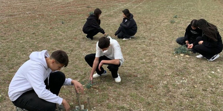 Öğrenciler, kum zambaklar için seferber oldu