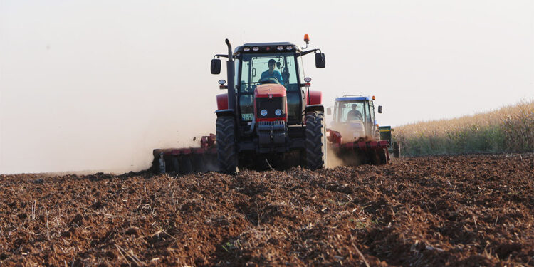 3 milyon dönüm alanda buğday ekimi yapıldı