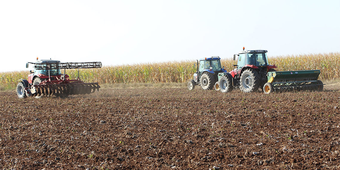 Türkiye'nin önemli tarım kentlerinden olan Mardin'de, yaklaşık 3 milyon dönüm alanda buğday ekimi gerçekleştirildi.