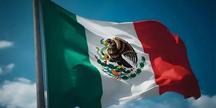 Meksika'da otobüs devrildi: 18 ölü, 29 yaralı