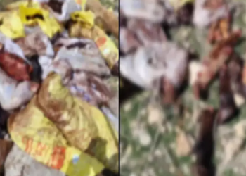 Mardin'de at ve eşek kesen şüpheli yakalandı