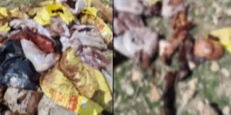 Mardin'de at ve eşek kesen şüpheli yakalandı