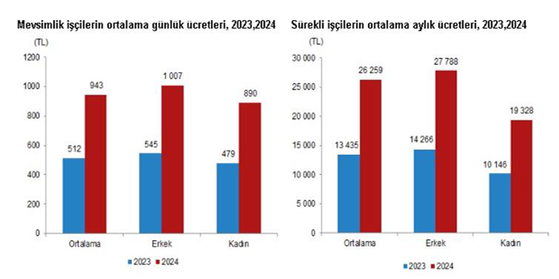 Mevsimlik tarım işçilerinin ortalama günlük ücretleri yüzde 84,2 arttı