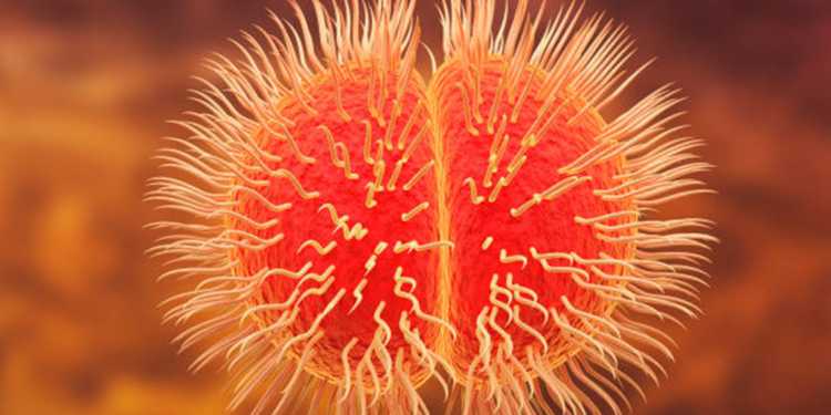 Moğolistan'da ikinci menenjit vakası bildirildi