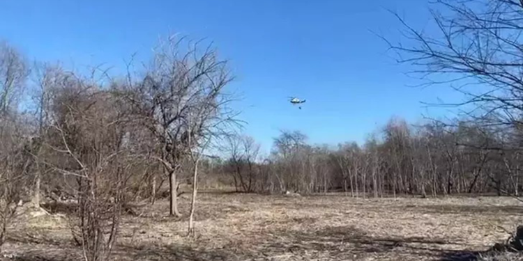 New York'taki orman yangınlarına ilişkin soruşturma başlatıldı